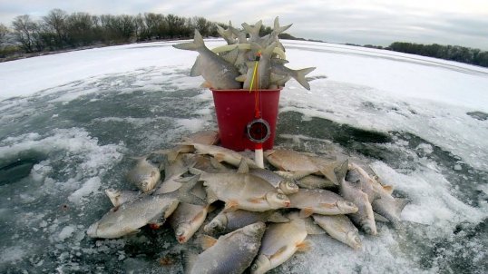 Первенство Кунгурского района по зимней рыбалке