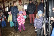 Экскурсия для детей из детского сада №6 на ферму колхоза им. Чапаева [ФОТОРЕПОРТАЖ]
