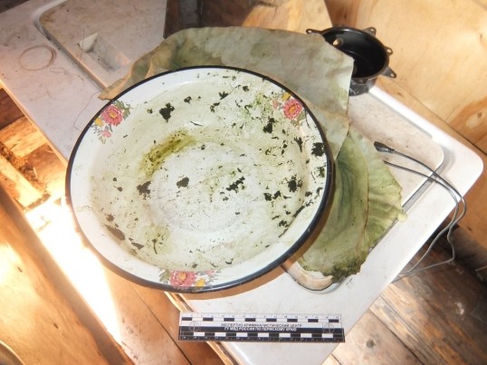 В Кунгуре окончено предварительное расследование по факту незаконного изготовления маковой соломы