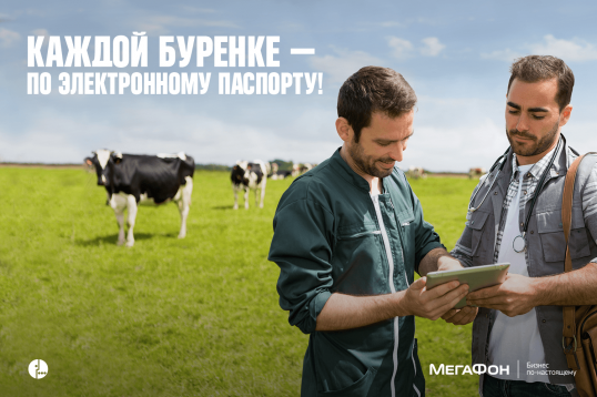 Уральским ветеринарам выпишут планшеты