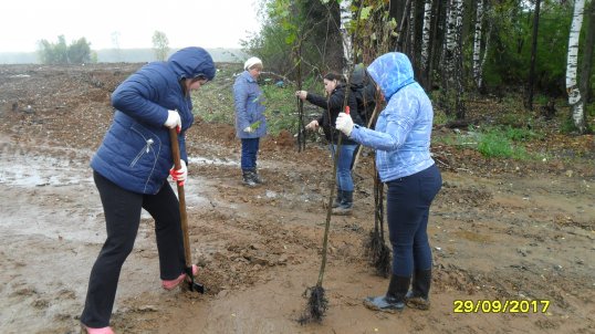 Сотрудники администрации Кунгурского района посадили около 200 дубов