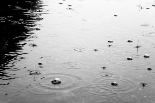 В Кунгуре и районе синоптики обещают дождь 28-29 июля