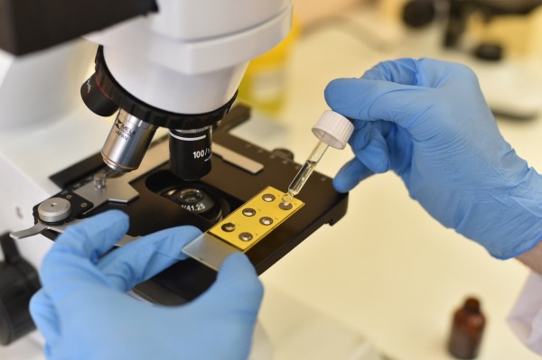 В Прикамье еще две лаборатории начали делать тесты на коронавирус