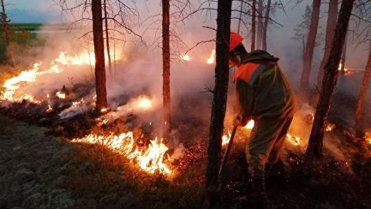 В Кунгурском районе произошло 27 пожаров, погибло 4 человека