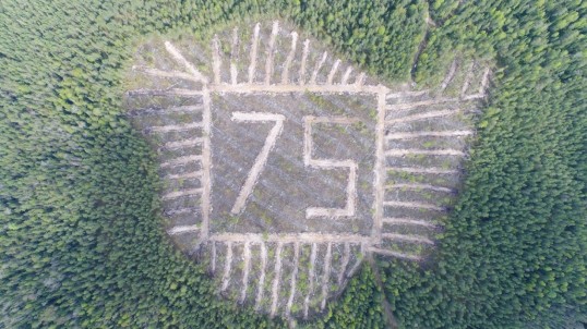 В Прикамье появился юбилейный геоглиф «75»