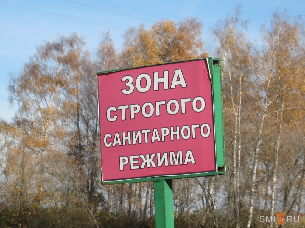 Санитарная зона на границе с украиной