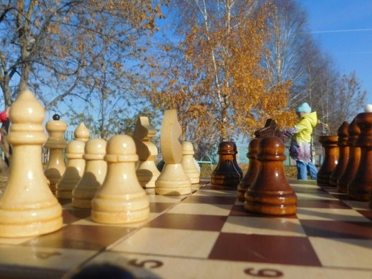 В Кунгурском районе прошёл детский конкурс фотографий «Шахматы в объективе»