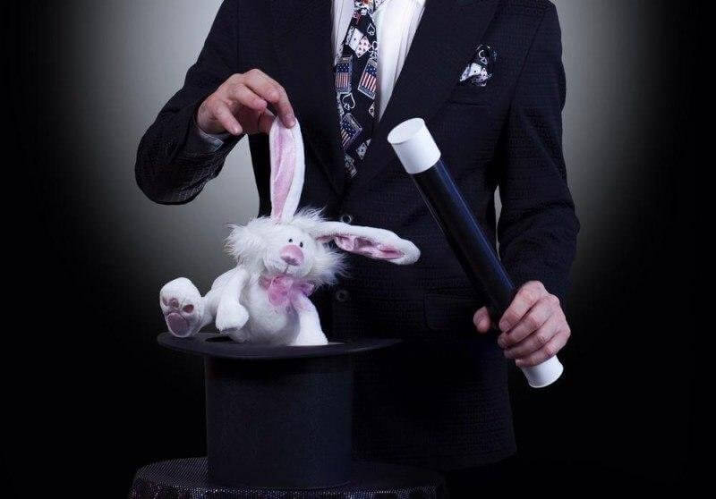 Цветок фокусника. Фокусник с кроликом. Кролик из шляпы. Фокусы иллюзионистов. Пролик фокустик.